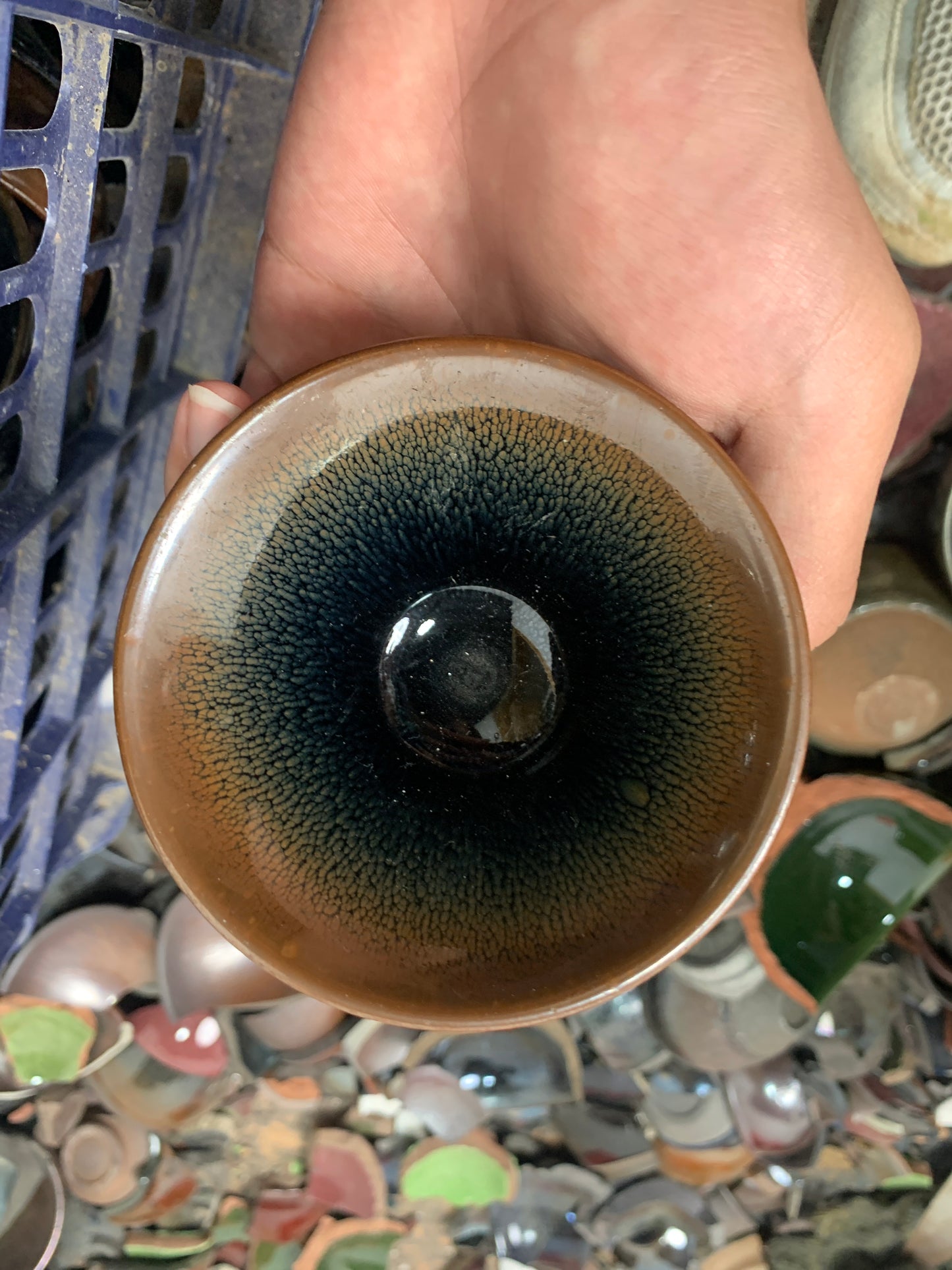 Tea cup 6.26