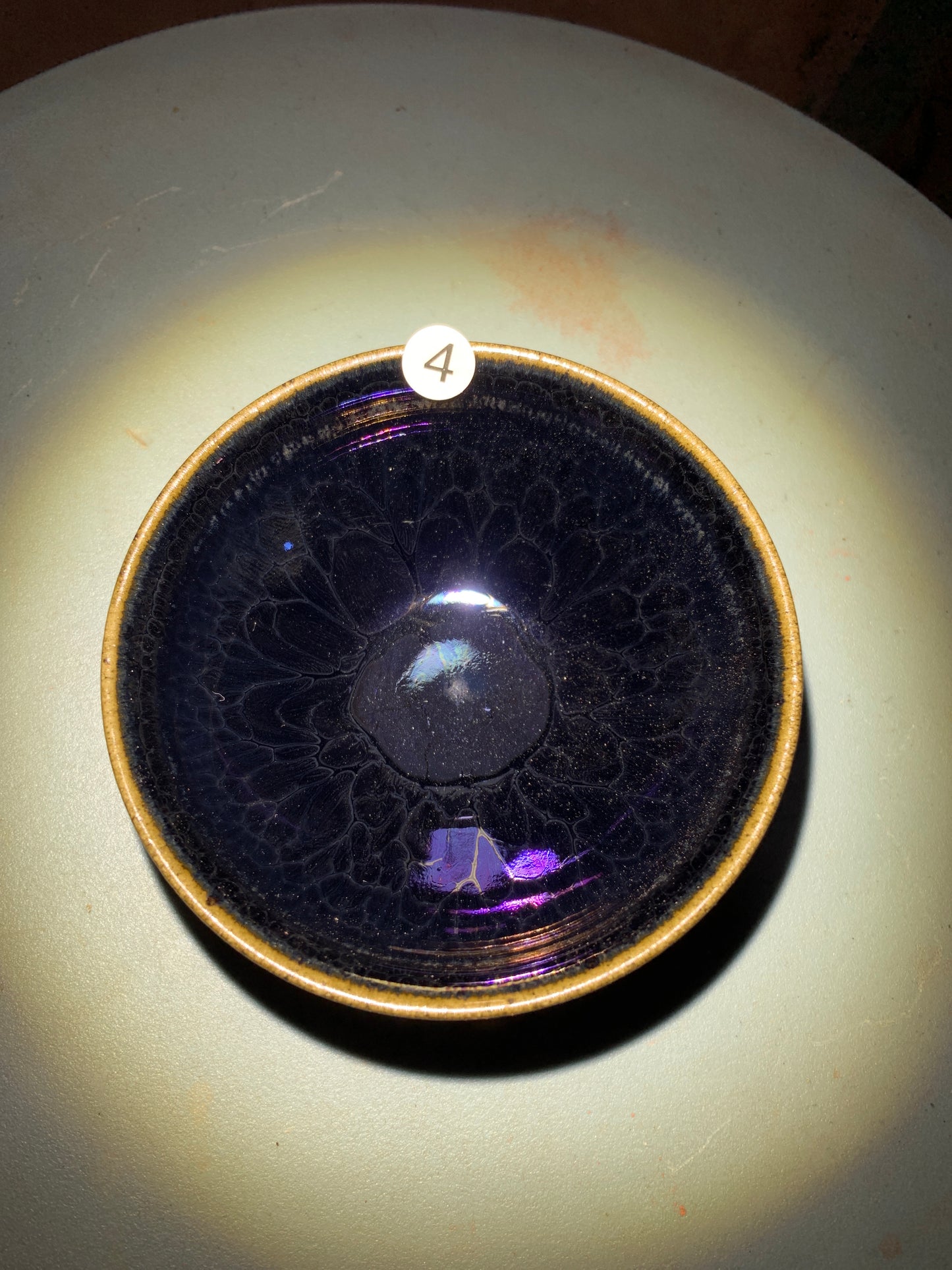 Master Li Jinhua 5.1