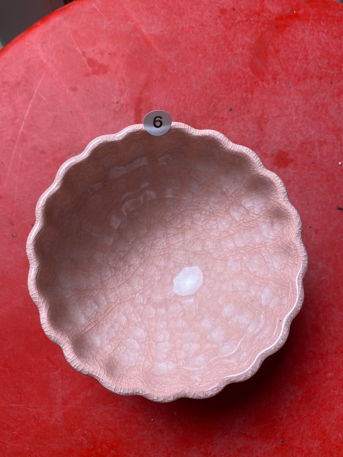 Bunny kiln open 1.26