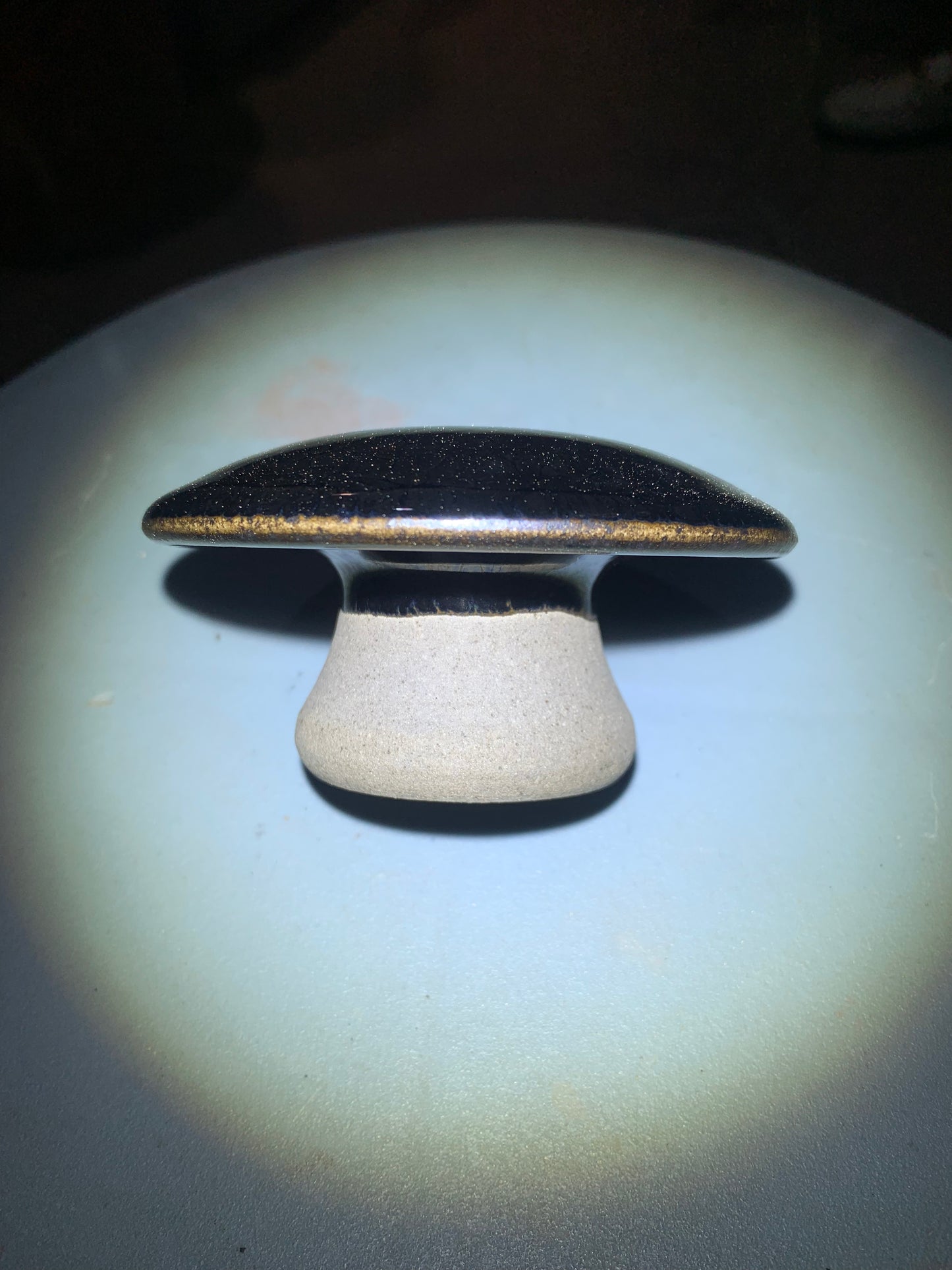 Master Li Jinhua 5.1