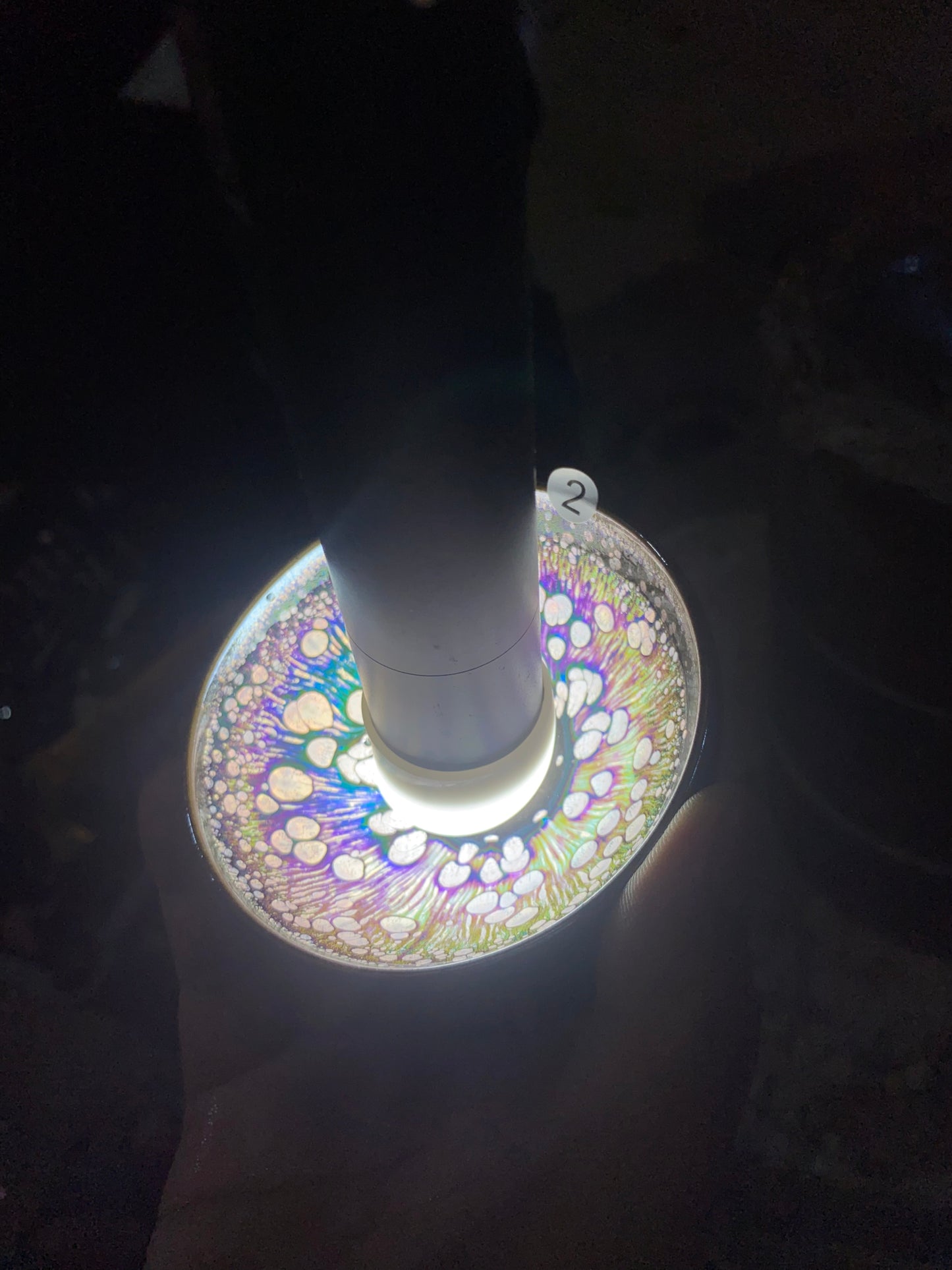 kiln open 9.1
