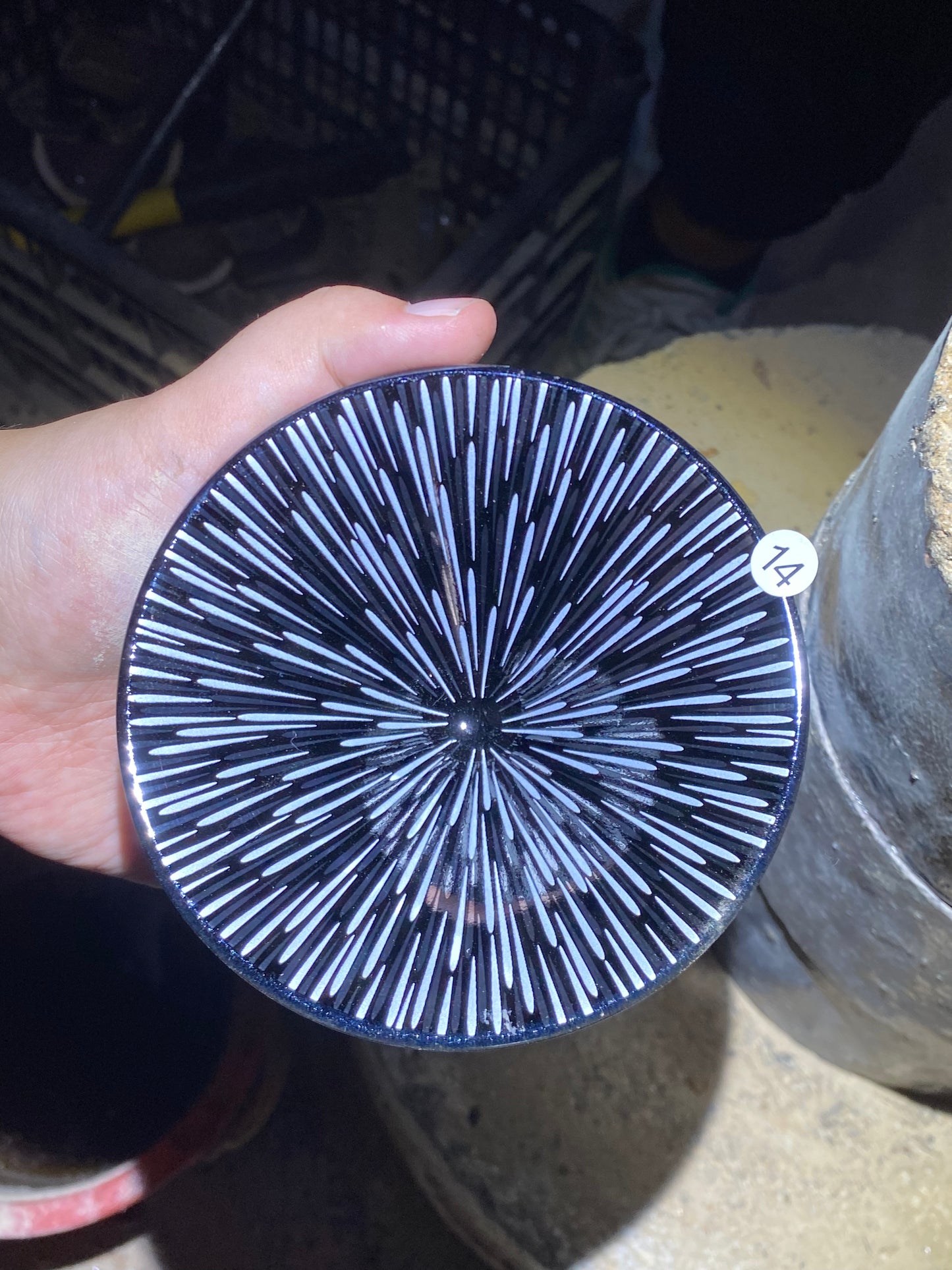 kiln open 10.29