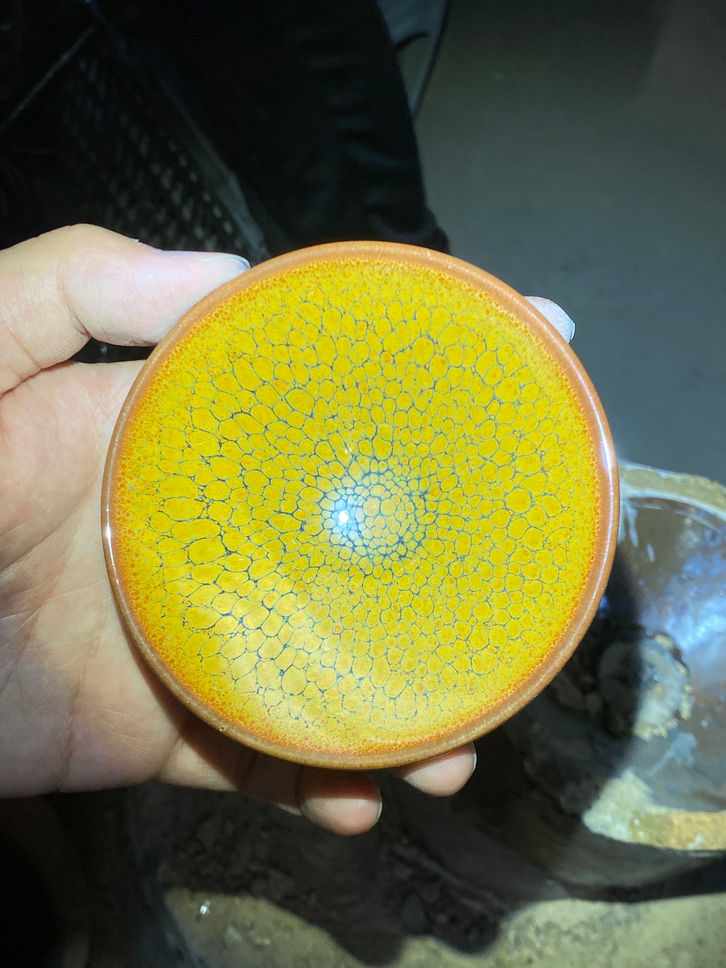 kiln open 11.5