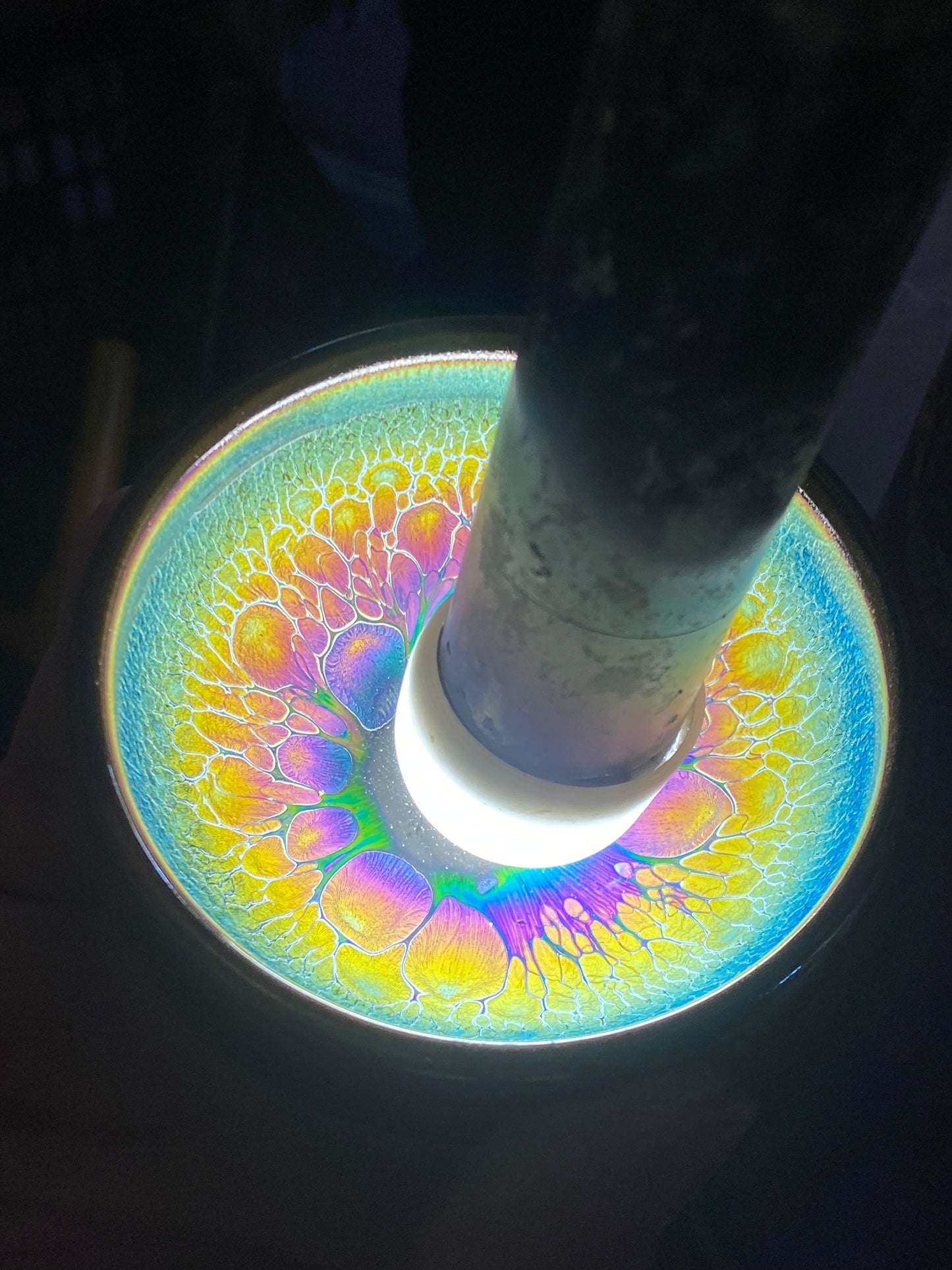 kiln open 11.6