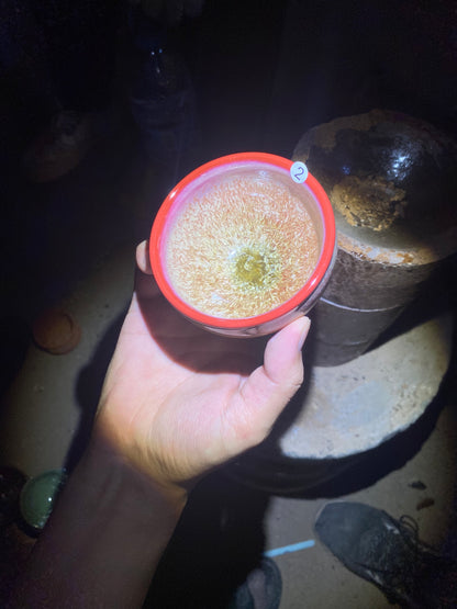 Eason kiln open 8.12