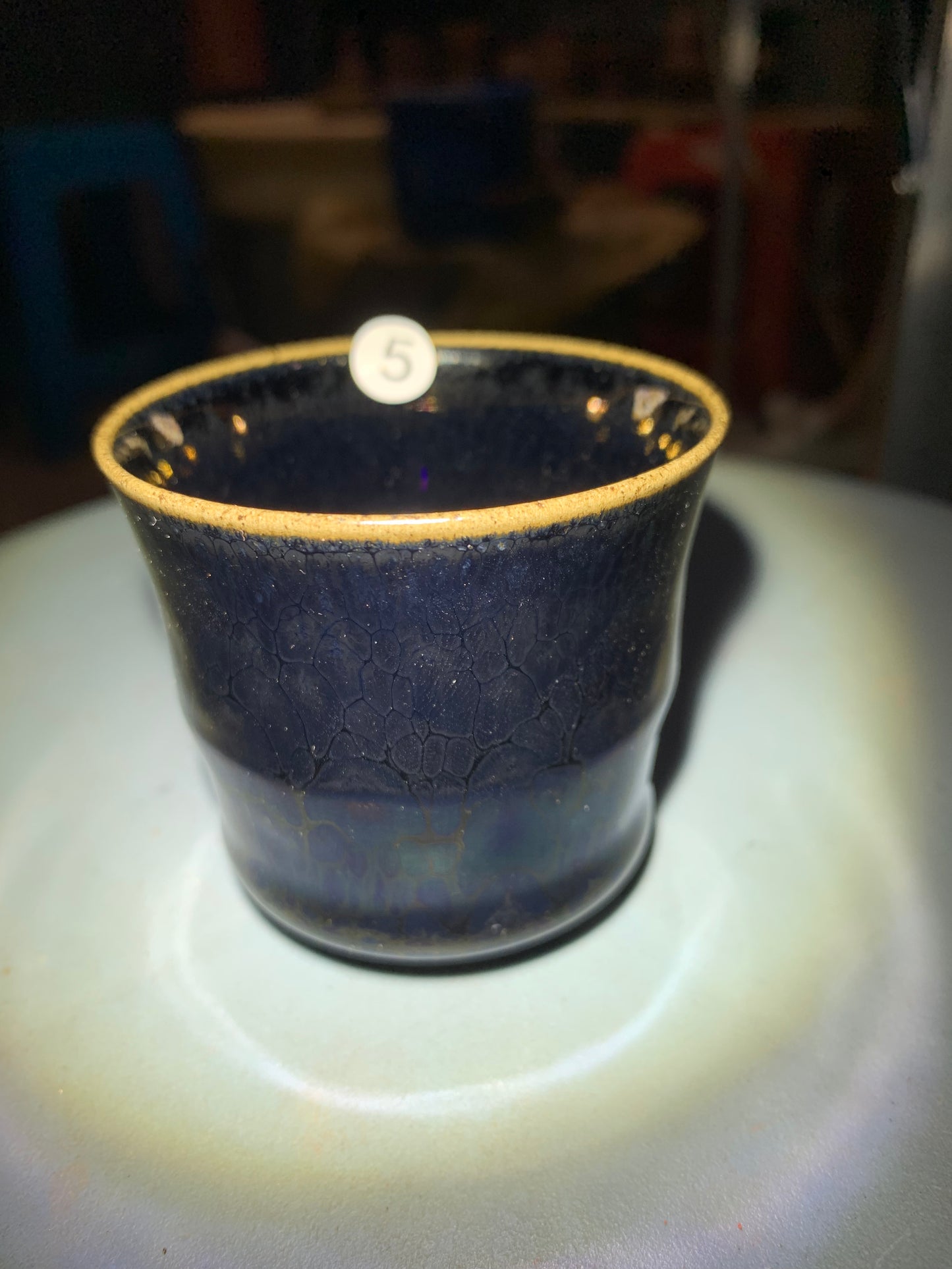 Master Li Jinhua 5.1
