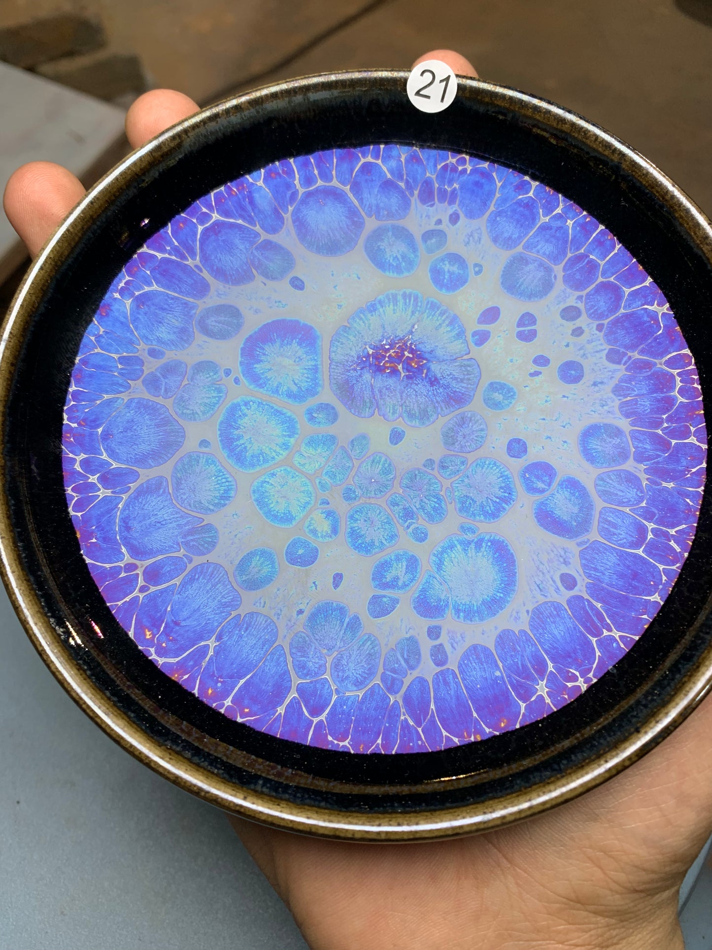Master Li Jinhua 5.1