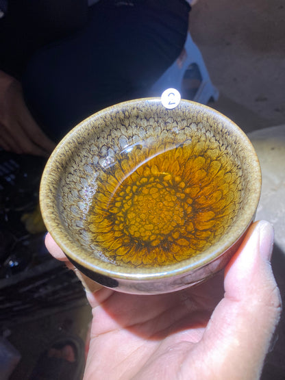 kiln open 9.5