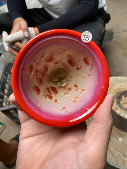 kiln open 9.12