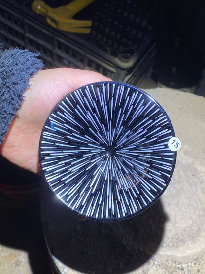 kiln open 11.9